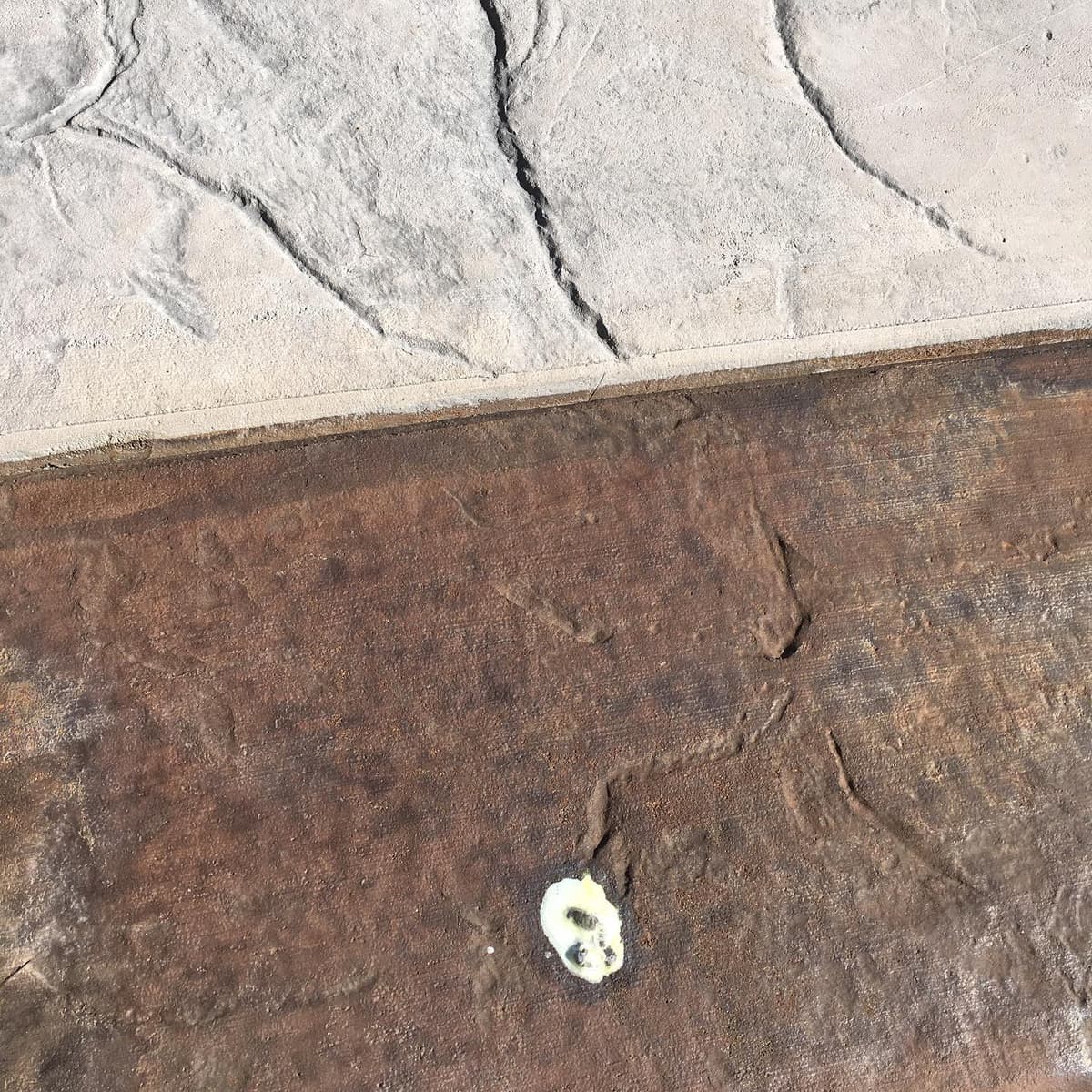 Northern Elite Concrete project photo 28